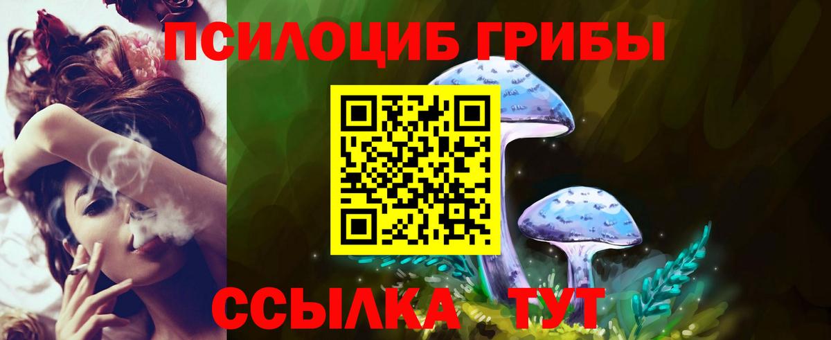 Галлюциногенные грибы MAGIC MUSHROOMS  закладка  Полевской  Вход с VPN 